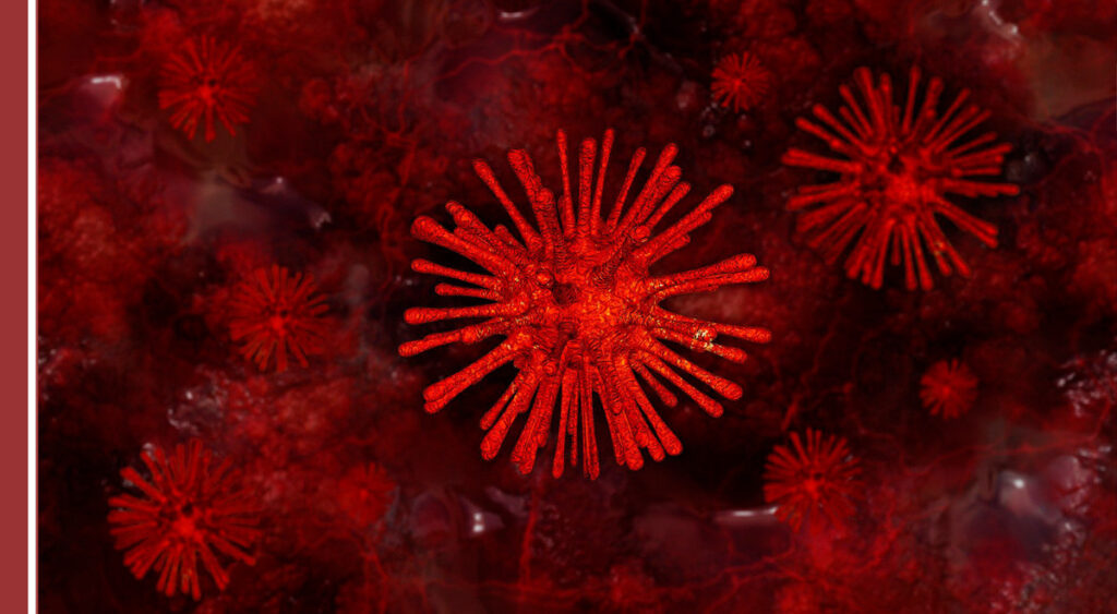 que es un virus