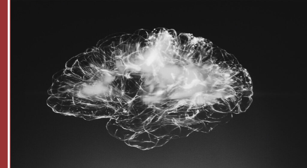 Neuroeduación