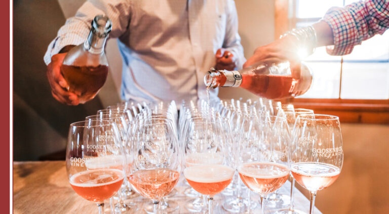 elaboracion del vino estudios