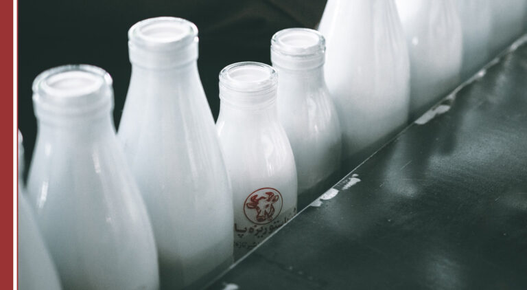 Leche fermentada lactosa