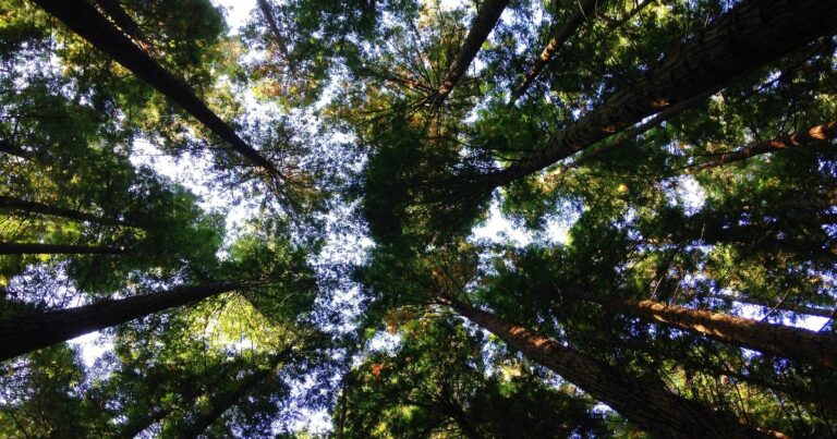naturaleza