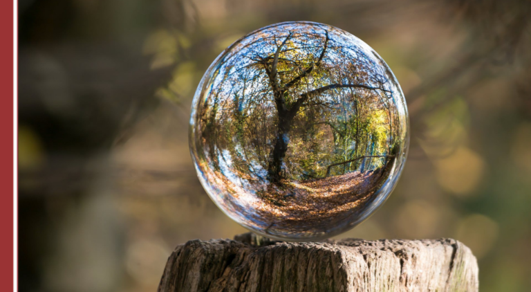 Blogs sobre el compromiso con el medioambiente y la sostenibilidad