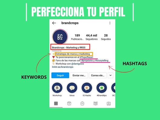 Perfil profesional