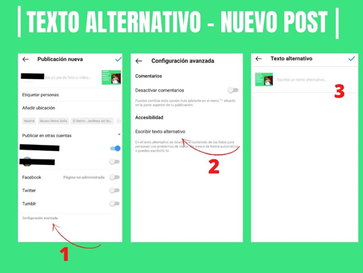 Contenido del texto