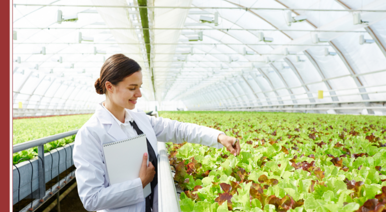 qué hace un ingeniero agroalimentario en el sector primario