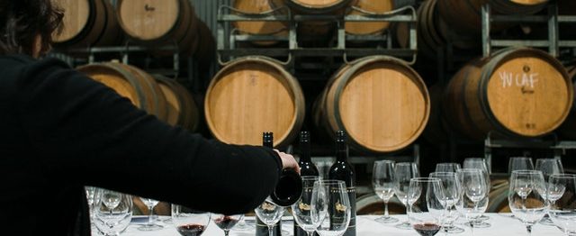 vinicultura-cata